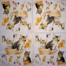 KAT-375 Cats - 3-ply - Ambiente